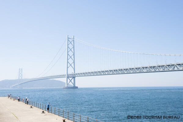 World Heritage Himeji Castle & Akashi Kaikyo Bridge Walking Tour - Himeji Castle, from white walls to steep stairs