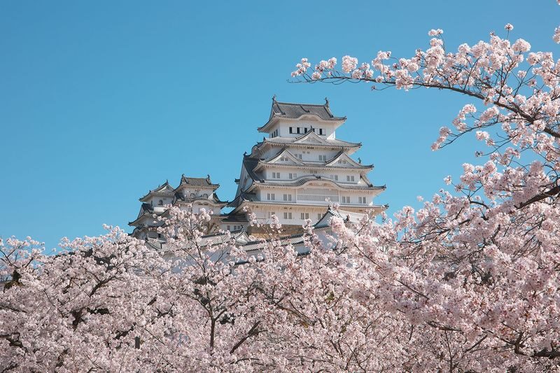 World Heritage Himeji Castle & Akashi Kaikyo Bridge Walking Tour - Standing beneath the Akashi Kaikyo Bridge
