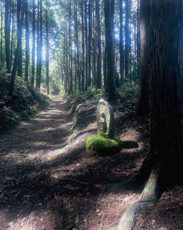 World Heritage KumanoKodo Hiking Tour - What the price gets you, and what it does not