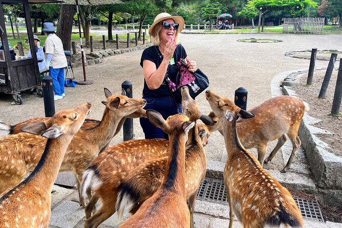 World Heritage Kyoto & Nara Uji Authentic Matcha Experience - Key Points