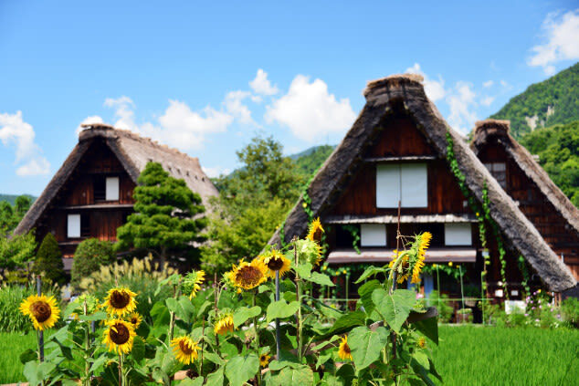World Heritage Shirakawa-go and KanazawaTour by Professional guide - A full day linking village life and Kanazawa