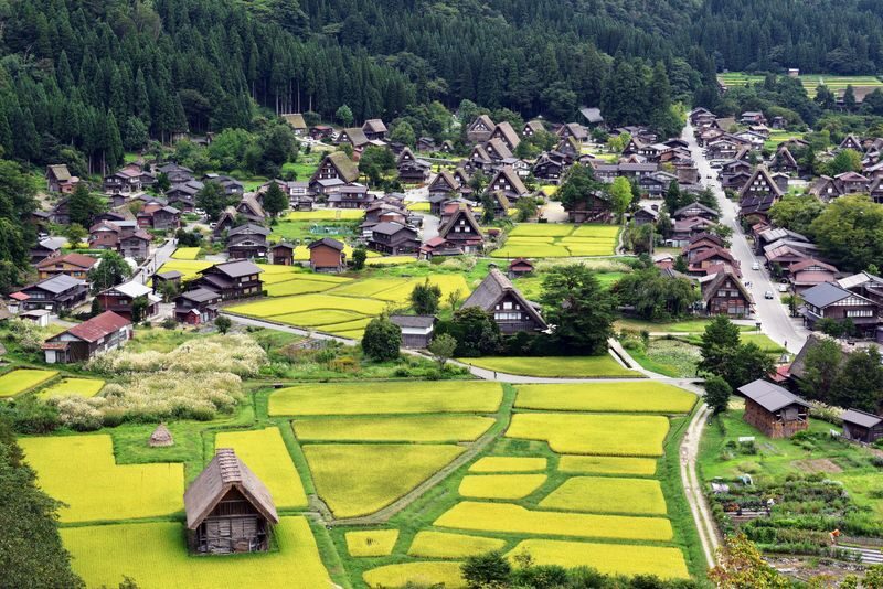 World Heritage Shirakawa-go and KanazawaTour by Professional guide - Wagashi making, with a possible Daruma detour