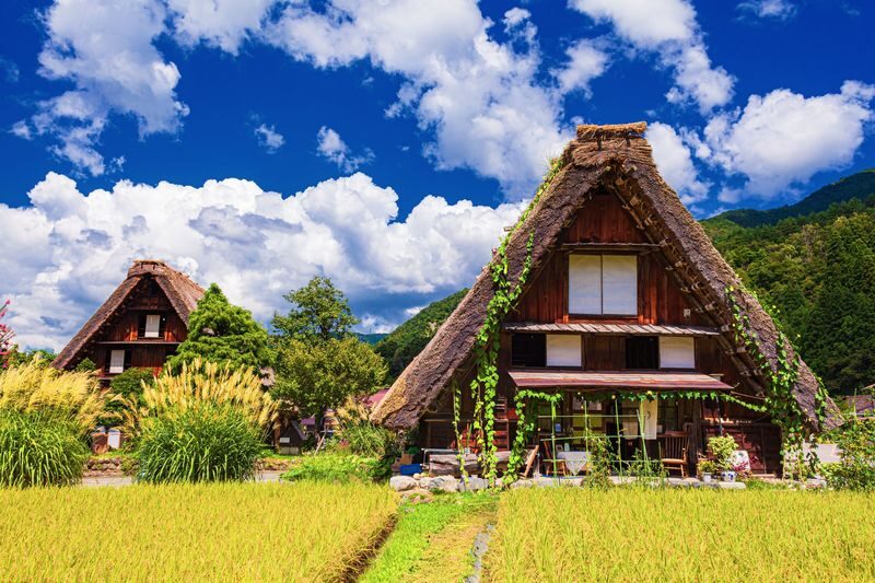 World Heritage Shirakawago and Takayama Private Tour from Nagoya - At a glance