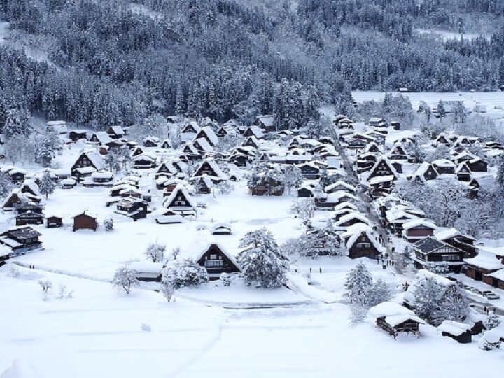 World Heritage Shirakawago and Takayama Private Tour from Nagoya - Takayama: a taste of Hida