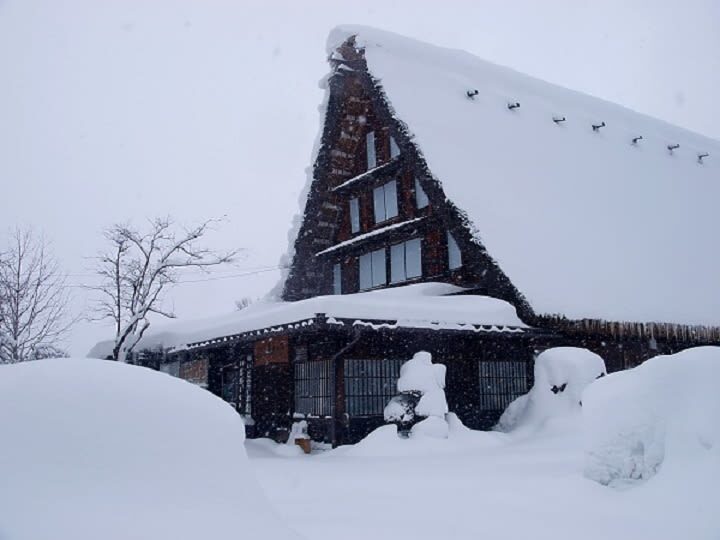 World Heritage Shirakawago and Takayama Private Tour from Nagoya - Shirakawa-go and its prayer-shaped roofs