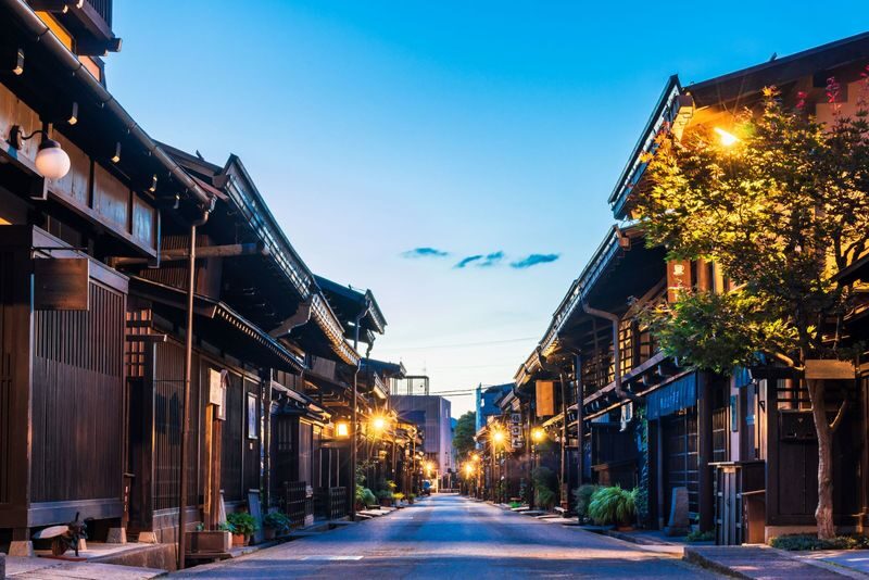 World Heritage Shirakawago and Takayama Private Tour from Nagoya - The guide and driver matter