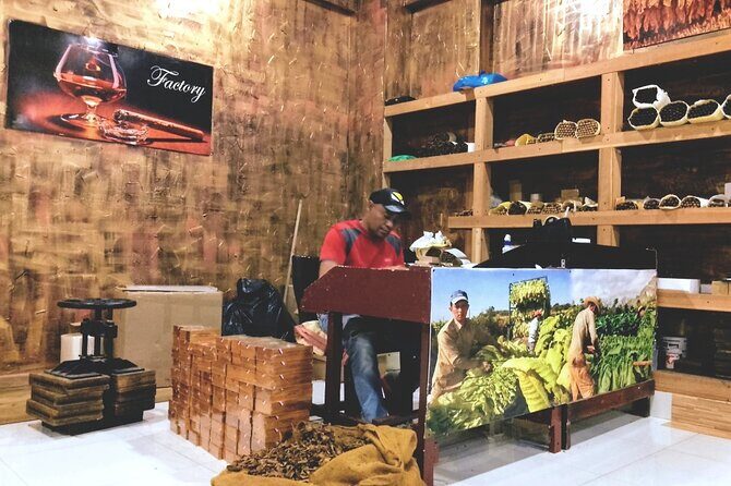 World Mart Souvenirs Store - Free Pick-up / Drop-off - A Practical Tour of Punta Cana’s Souvenir World: The World Mart Souvenirs Store Guided Tour