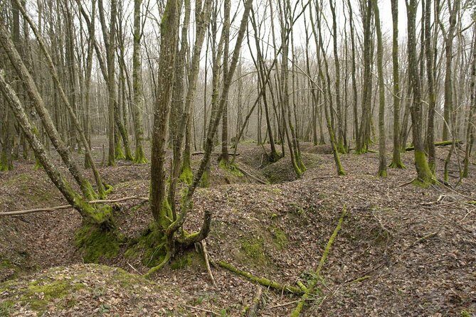 World War 1 Walk Through Trenches and Bunkers - Who Will Love This Tour?