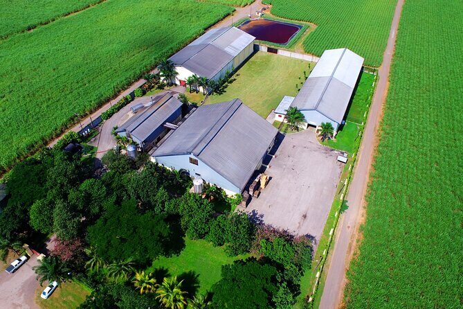 Worthy Park Estate Rum Tour from Ocho Rios - The Sum Up