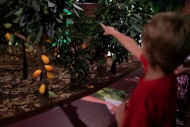 WOW Ticket: The Chocolate Experience by 20|20 - Who Would Enjoy This Tour?