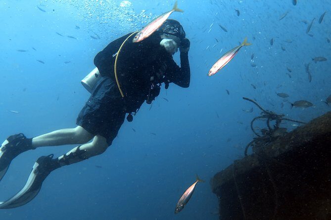 Wreck and Bridge Span Dive for Certified Divers - Frequently Asked Questions (FAQs)