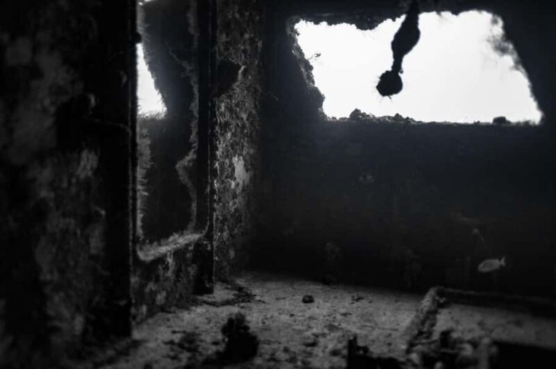 Wreck Dive in Playa del Carmen  Dive Machine Experience - Final Thoughts