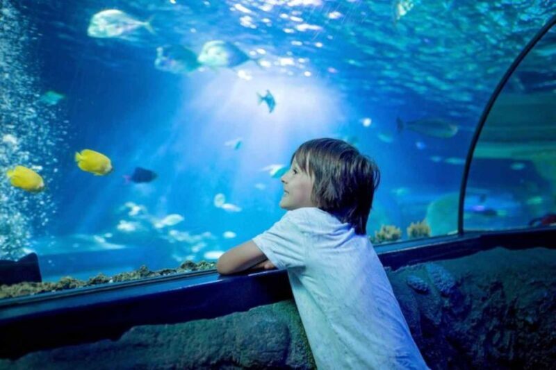 Wrocaw: 2-Hour Guided Tour for Children - Key Points