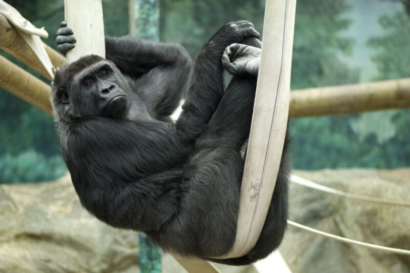 Wroclaw: Zoo with Private Transport and Tickets - Final Thoughts