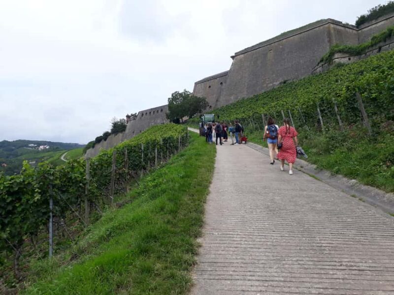 Wuerzburg: Wine mountain rally with wine tasting and group dynamics - Who should consider this experience?