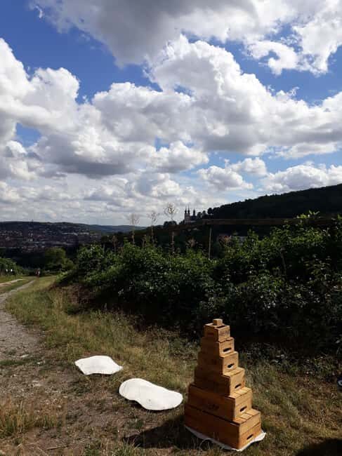 Wuerzburg: Wine mountain rally with wine tasting and group dynamics - FAQs