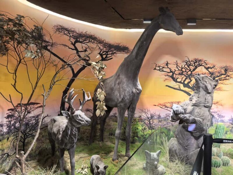 Wuhan: Hankou Night Tour with Craft Beer Tasting - Value & Practical Tips