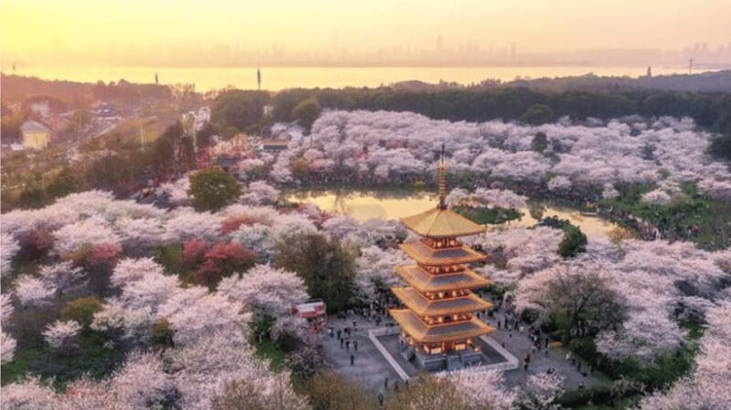 Wuhan in a Day: Local Flavors, Iconic Sites&Hidden Treasures - The Sum Up: Who Should Consider This Tour?