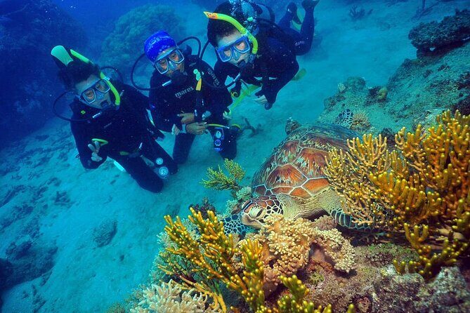 Wunyami Cultural Tour on Green Island's Eco Adventure - A Detailed Look at the Wunyami Cultural Tour