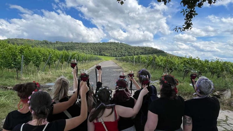 Würzburg: Excursion to the vineyards - enjoyable wine hike & tasting - Key Points