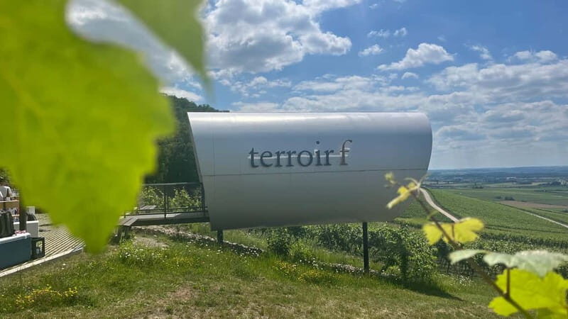 Würzburg: Excursion to the vineyards - enjoyable wine hike & tasting - Who Is This Tour Best For?