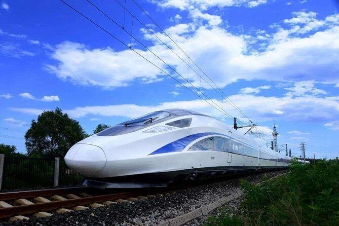 Wuxi Lingshan Grand Buddha Private Tour from Nanjing by Bullet Train - A Closer Look at the Experience