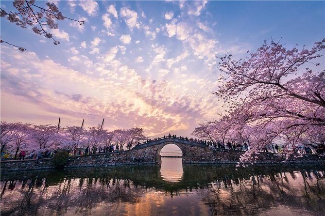 Wuxi Private Flexible Day Tour from Shanghai by Bullet Train - Key Points