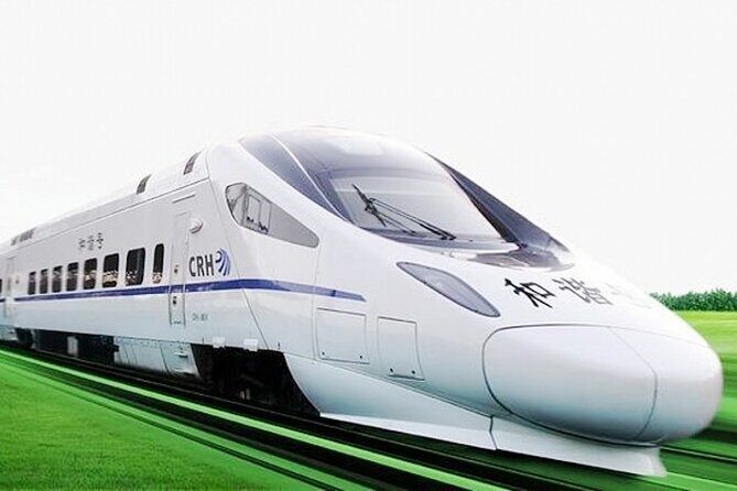 Wuxi Private Flexible Day Tour from Shanghai by Bullet Train - Authentic Insights from Past Travelers