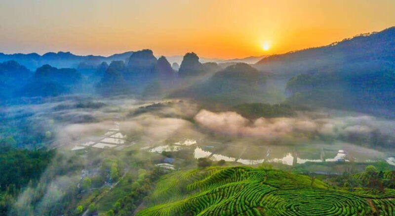 Wuyishan: 3-Day Tea Culture and Bamboo Rafting Tour - FAQ