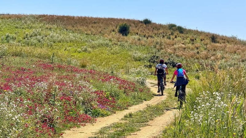 WWF E-BIKE TOUR | Riserva Naturale di Torre Salsa Con pranzo - The Itinerary in Detail