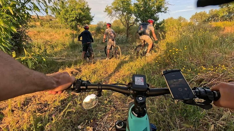 WWF E-BIKE TOUR | Riserva Naturale di Torre Salsa Con pranzo - Potential Drawbacks and Considerations