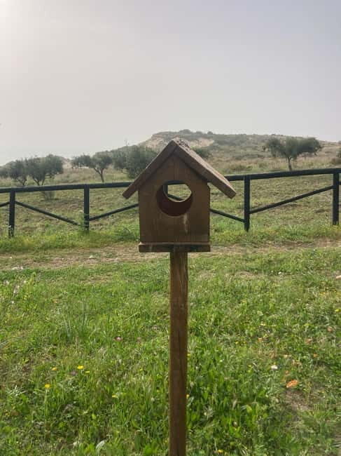 WWF E-BIKE TOUR | Riserva Naturale di Torre Salsa Con pranzo - FAQ