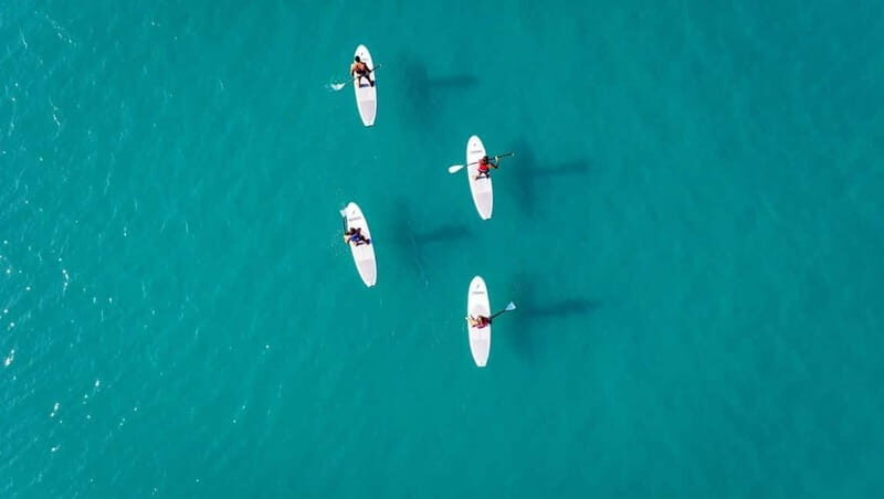 WWF TOUR alla Riserva Naturale di Torre Salsa in SUP - Final Thoughts: Is It Worth It?