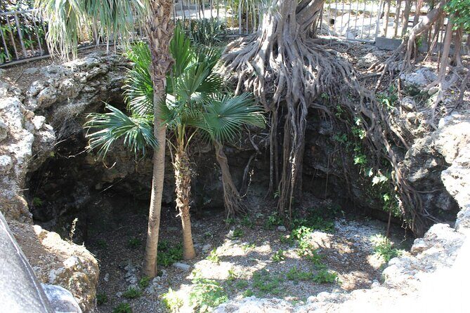 WWII Battle of Okinawa - Himeyuri & Peace Museum Guided Tour - A Close Look at the WWII Battle of Okinawa – Himeyuri & Peace Museum Guided Tour