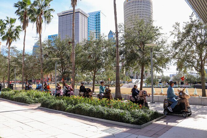 Wyld Things Rydables Tour of Tampa - Who Will Love This Tour?