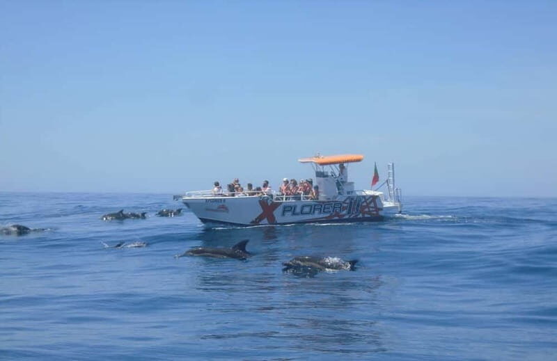 X Plorer  Caves (Benagil) & Dolphins Cruise - FAQ