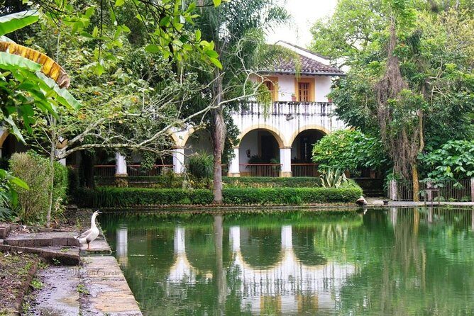 Xalapa and its aroma of coffee. Fall in love! - FAQ