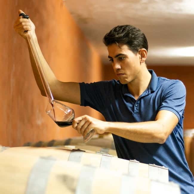 Xalo: Vineyard Tour with Wine Tasting and Snacks - What to Expect from the Xalo Vineyard Tour