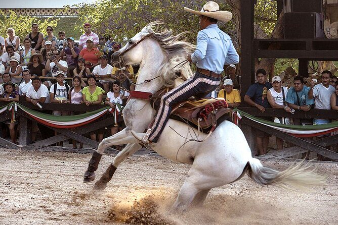 Xcaret Park Day Tour & Night Show with Transportation - Key Points