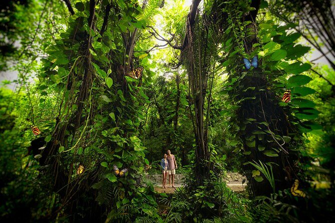 Xcaret Park Day Trip, transportation and Cultural Night Show - FAQ