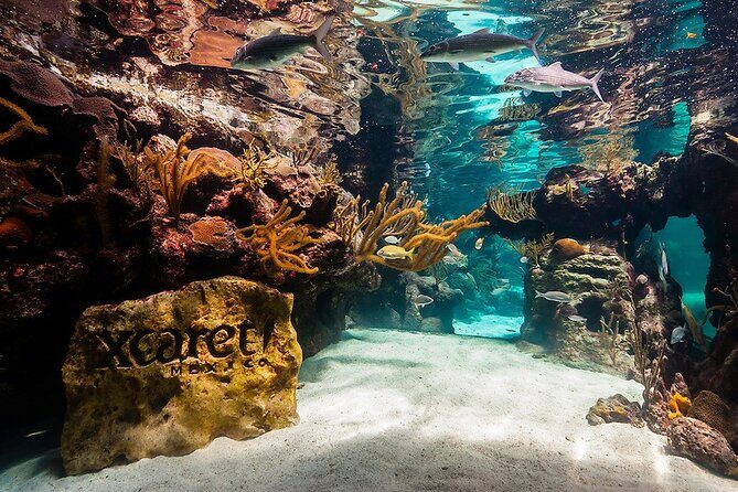 Xcaret Park! Nightshow, Underground River & Transportation - The Practical Side: Transportation, Duration, and Group Size