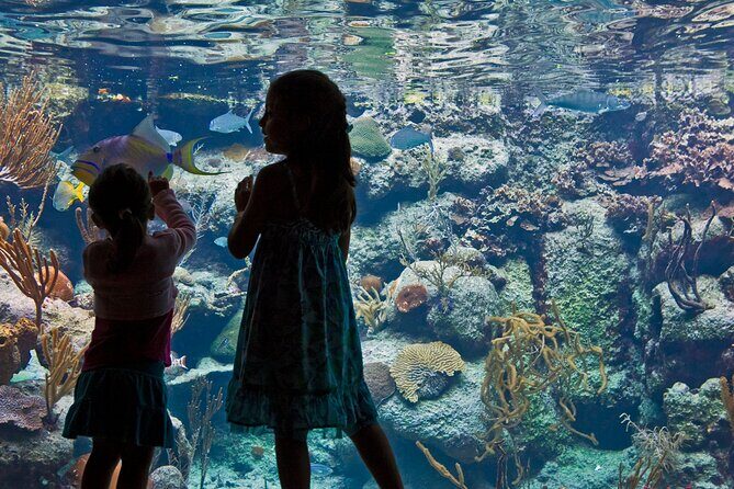 Xcaret Park Plus Access with Transportation and Night Show - What’s Included and Whats Not