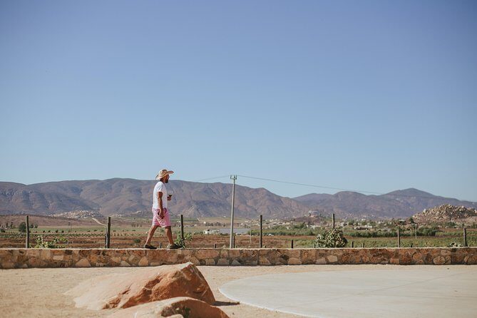 Xecue Wine Tasting in the Guadalupe Valley - Practical Tips for Your Visit