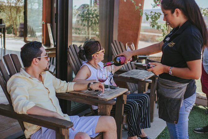 Xecue Wine Tasting in the Guadalupe Valley - The Bottom Line: Who Will Love This Tour?