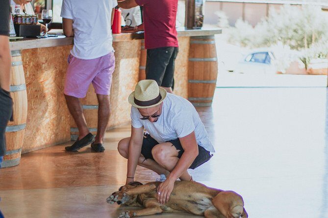 Xecue Wine Tasting in the Guadalupe Valley - Final Thoughts