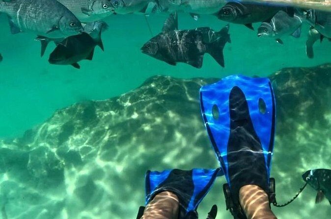 Xel-ha All Inclusive Tour - Wrapping Up