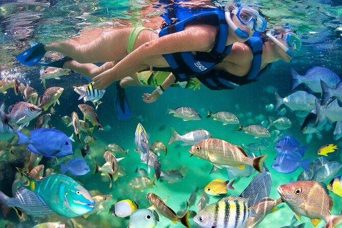 Xelha Tickets with Transportation - Experience the Natural Wonder of Xel-Há Park in Riviera Maya