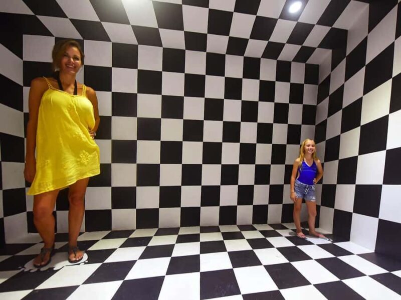 Xenses Park in Full - Final Thoughts: Is Xenses Worth It?