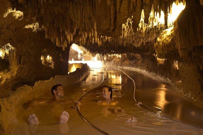 Xenses Ticket - Key Points