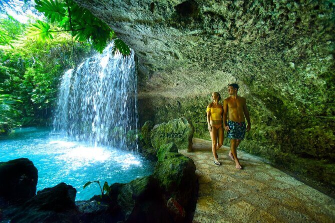 XENSES tickets with Transportation - A Deeper Look at Xenses: What to Expect